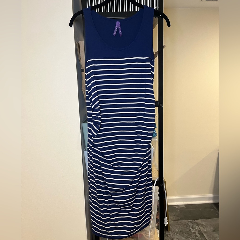 Seraphine blue and white striped maternity dress.